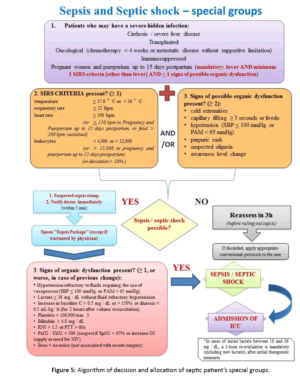 Sepsis Chart Audit Tool